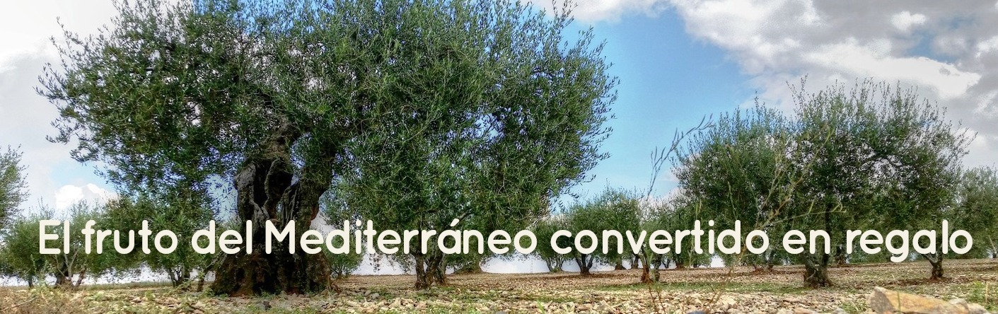 Mediterraneo_hecho_regalo__grande Mediterraneo_hecho_regalo__grande