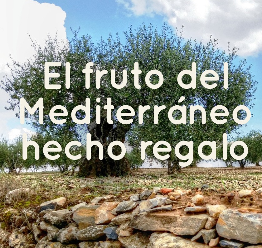 Mediterraneo_hecho_regalo__movil